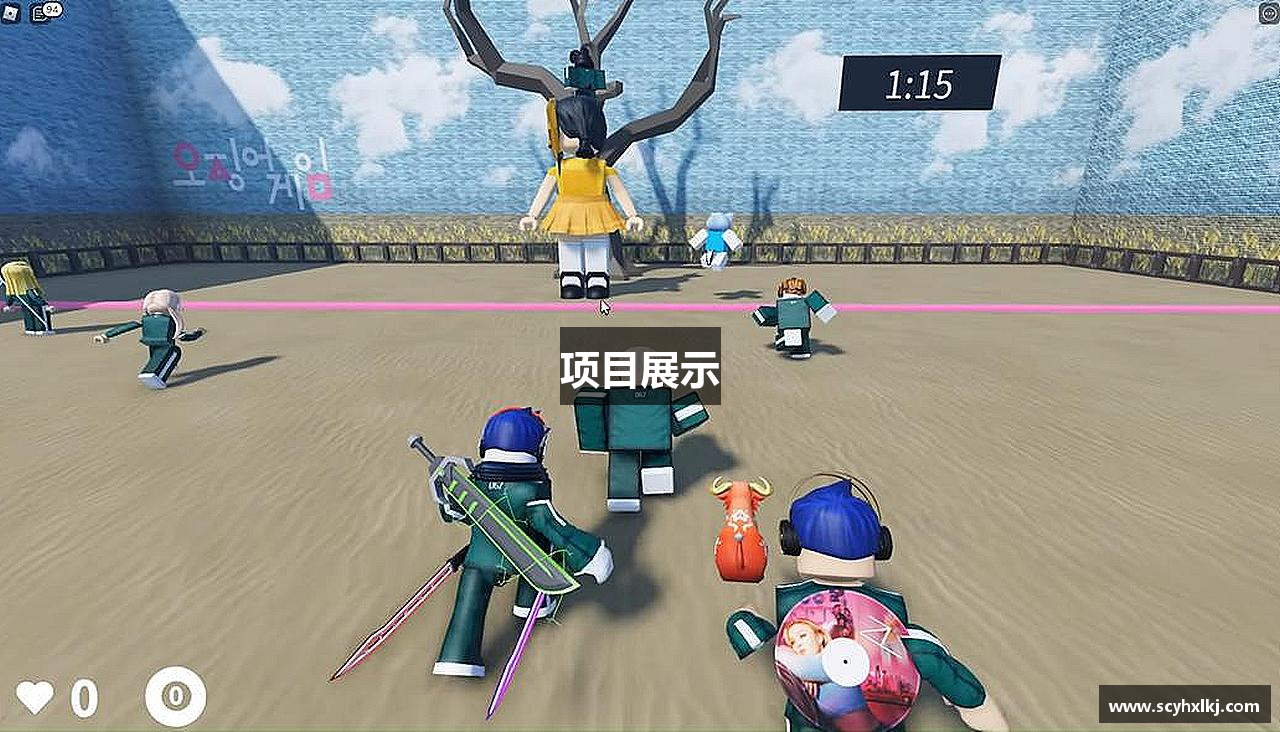 项目展示